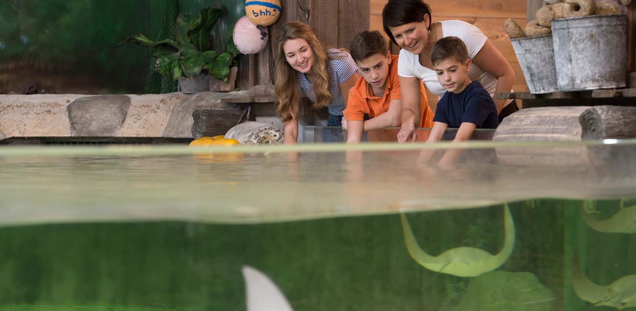 Celebrate World Ocean Day at the Fort Wayne Children’s Zoo