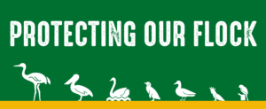 Protect Our Flock Logo Only