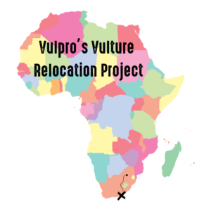 Vulpro’s Relocation Project (2)
